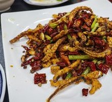 Spicy Squid