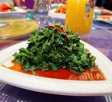 Mixed花椒芽 Salad