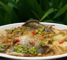 Braised Perch with Tofu and Vermicelli