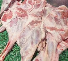 Premium Lamb Leg