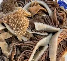 Tripe
