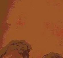 Stewed Goose in Iron Pot