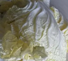 Chinese cabbage