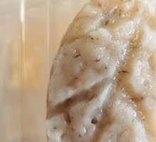 Signature Shrimp Dumplings