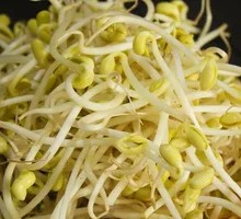 Mung Bean Sprouts