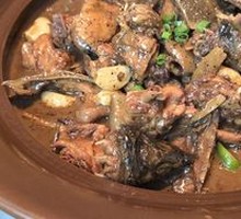 Signature Softshell Turtle