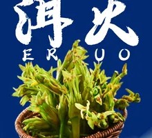 Yunnan Lake Water Spinach