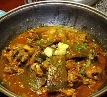 Spicy Softshell Turtle