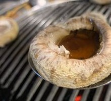 King Oyster Mushroom