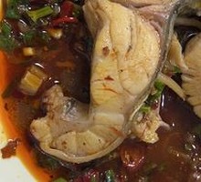 Fresh Side-Striped Catfish