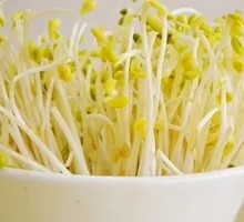 Bean sprouts