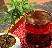 Red Bean Pu'er Tea