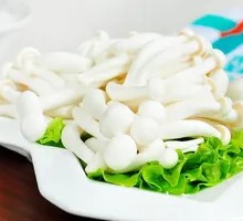 White Cloud Mushroom