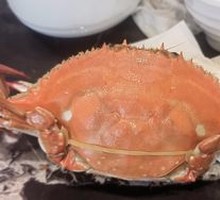 Live Crab