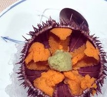 Japanese Sea Urchin