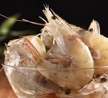 Fresh Sea Shrimp