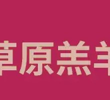 Jiufu Fresh Lamb Skewers