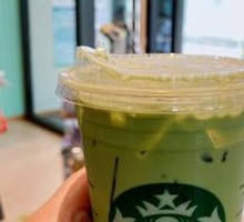 Iced Matcha Latte
