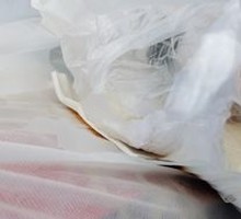 Beef and Scallion Dumplings