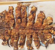 Springwater Rainbow Trout