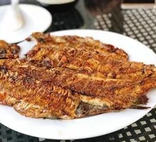 Grilled Rainbow Trout