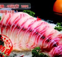 Salmon Trout Sashimi