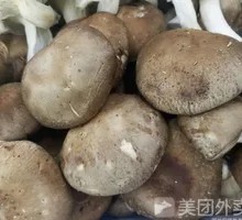 Shiitake Mushroom