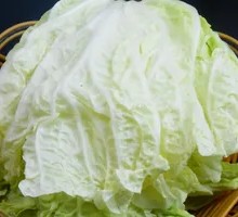 Chinese cabbage