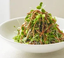 Tender香椿苗 with Tofu Strips