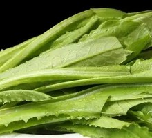 Oilseed lettuce