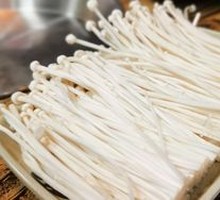 Enoki Mushroom