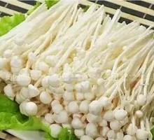 Enoki Mushroom
