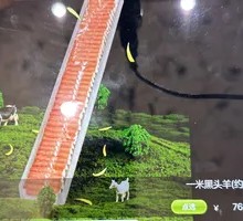 Special One-Meter Lamb