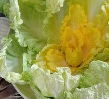 Braised Napa Cabbage with Prosperity