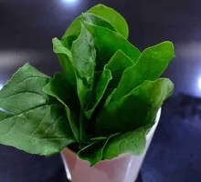 Spinach