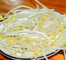 Bean sprouts