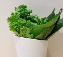 Lettuce with Perilla Leaves