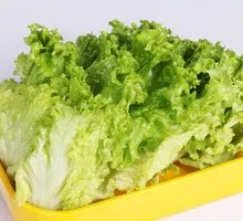 Romaine lettuce