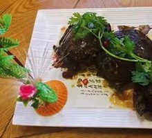 Spicy Softshell Turtle