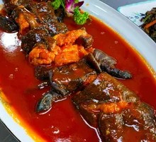 Chinese Giant Salamander