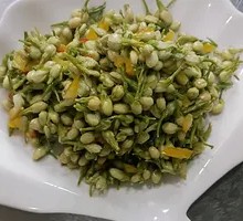 Cold-Pressed Wild Jasmine Shoots