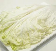 Napa cabbage