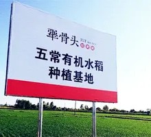 Sturdy Bone Rice Farm