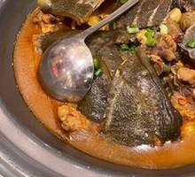 Braised Softshell Turtle
