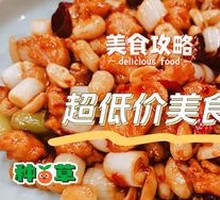 Premium Kung Pao Chicken