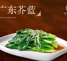 Guangdong Bok Choy