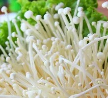 Enoki Mushroom