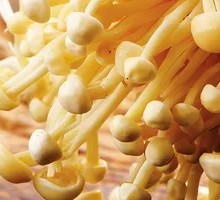Enoki Mushroom