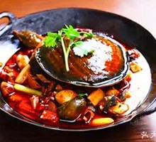 Spicy Softshell Turtle