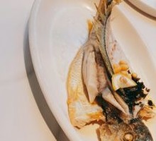 Large Yellow Croaker